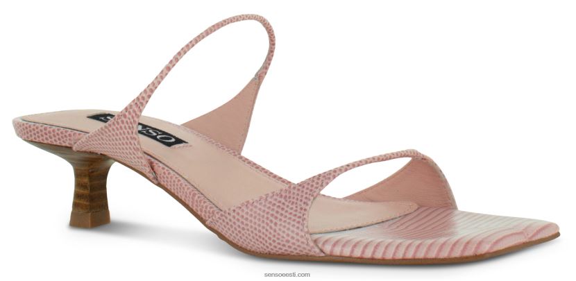 Senso FNPB8N137kontsaga muulad taylah guajaav