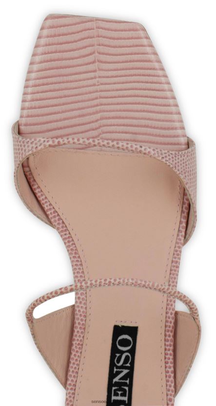 Senso FNPB8N137kontsaga muulad taylah guajaav