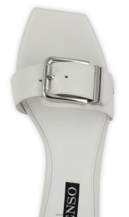 Senso FNPB8N140kontsad tommie martsipan