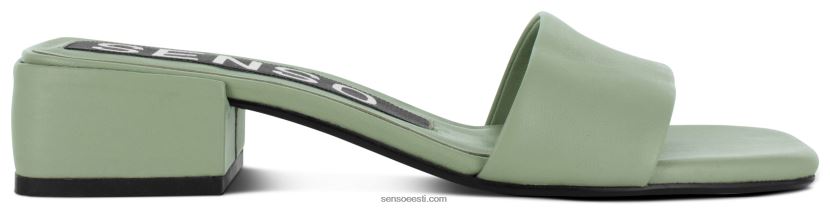 Senso FNPB8N151kevad/suvi 21 valli pistaatsia