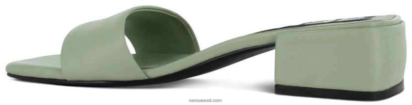 Senso FNPB8N151kevad/suvi 21 valli pistaatsia