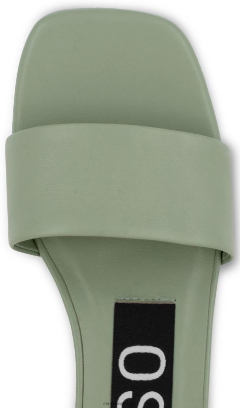 Senso FNPB8N151kevad/suvi 21 valli pistaatsia