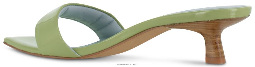 Senso FNPB8N156kontsad trina ja pistaatsia