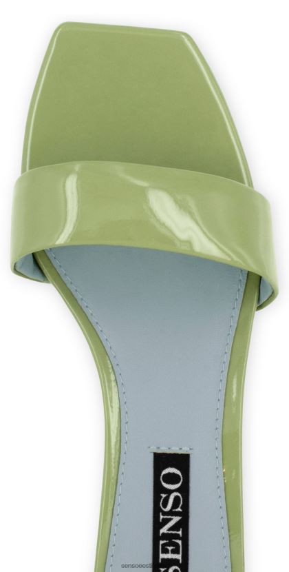 Senso FNPB8N156kontsad trina ja pistaatsia