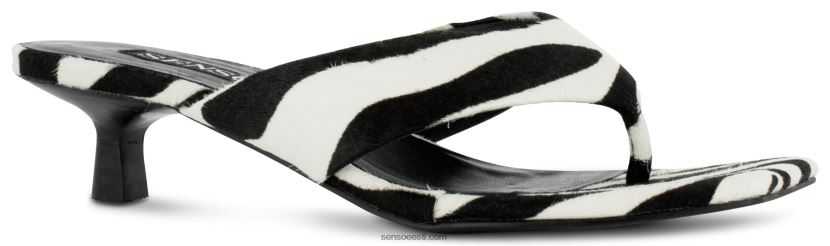 Senso FNPB8N159kontsad tash ii sebra