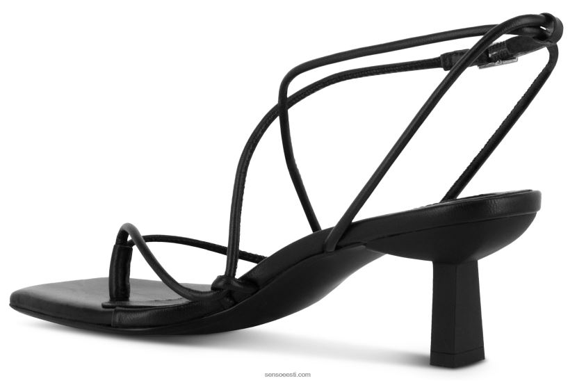 Senso FNPB8N166kontsad wella eebenipuust