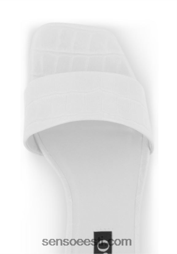 Senso FNPB8N198allkirjad maisy vii jää