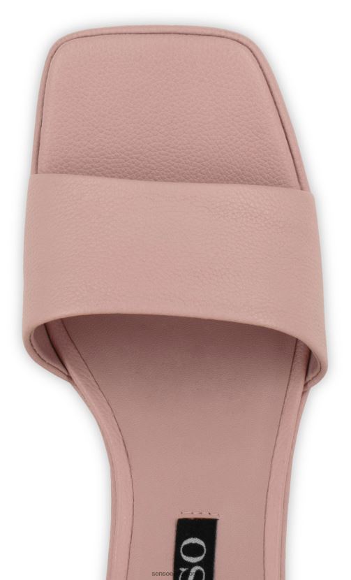 Senso FNPB8N215kontsad stevie ii põsepuna