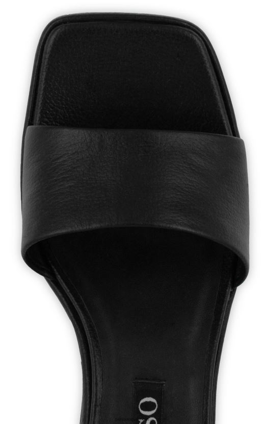 Senso FNPB8N216kontsad stevie ii eebenipuu