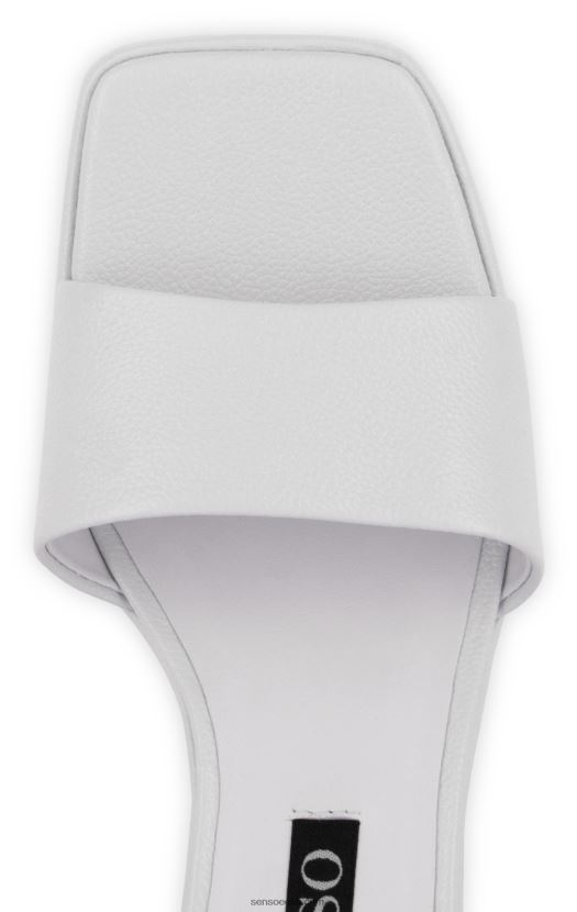 Senso FNPB8N217kontsad stevie ii jää