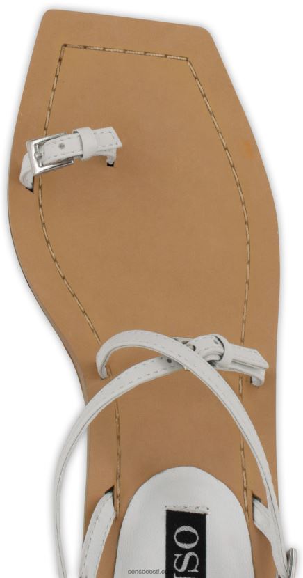 Senso FNPB8N233kontsad laveenijää