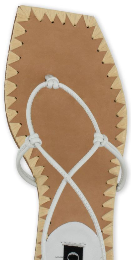 Senso FNPB8N235kevad/suvi 21 maia jää