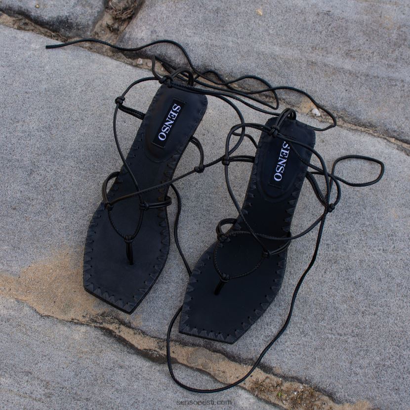 Senso FNPB8N238kevad/suvi 21 mai eebenipuu