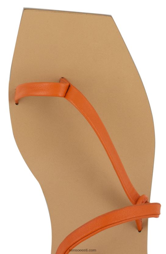 Senso FNPB8N245kontsad mina mandariin