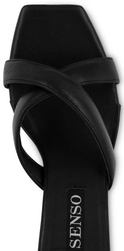 Senso FNPB8N254kevad/suvi 21 quipe i eebenipuu