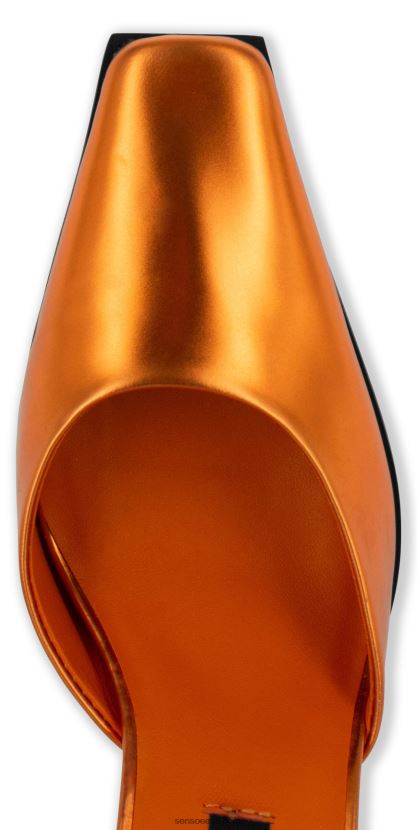 Senso FNPB8N260kontsad henrietta päikeseloojang