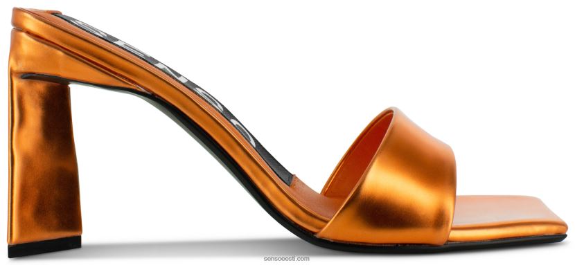 Senso FNPB8N275kontsad venus i päikeseloojang