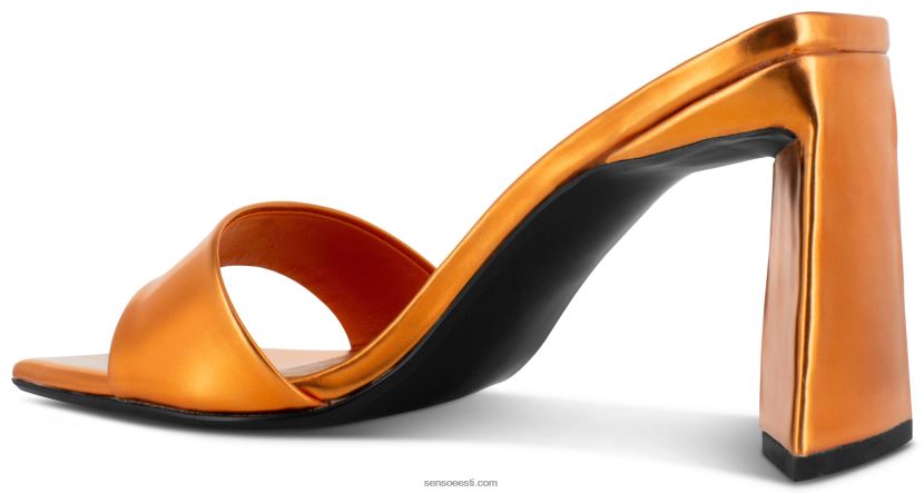 Senso FNPB8N275kontsad venus i päikeseloojang