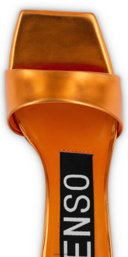 Senso FNPB8N275kontsad venus i päikeseloojang