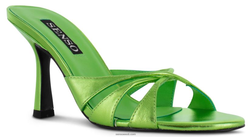 Senso FNPB8N299kontsad kashaya ja absint