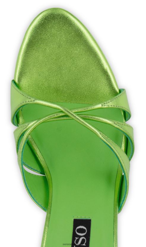 Senso FNPB8N299kontsad kashaya ja absint