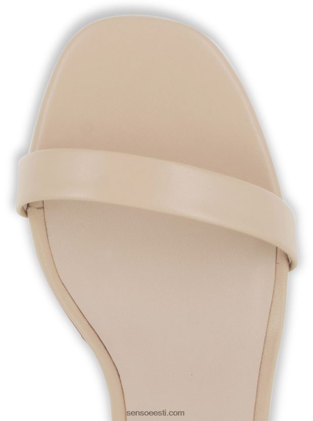 Senso FNPB8N310allkirjad quelle i šerbett