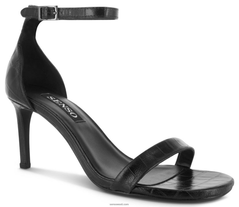 Senso FNPB8N312kontsad quelle iii eebenipuu