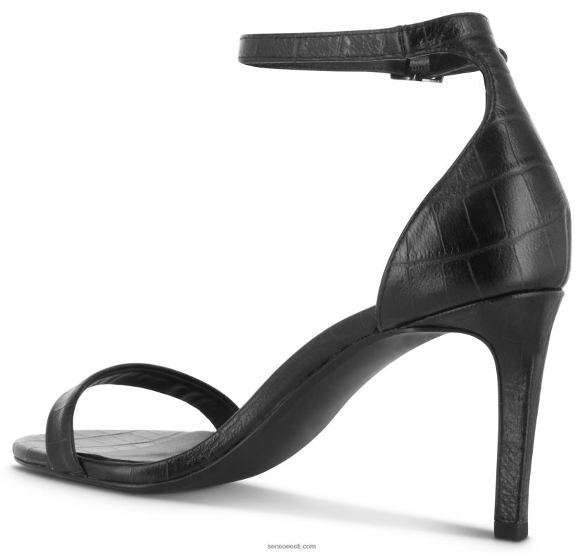 Senso FNPB8N312kontsad quelle iii eebenipuu