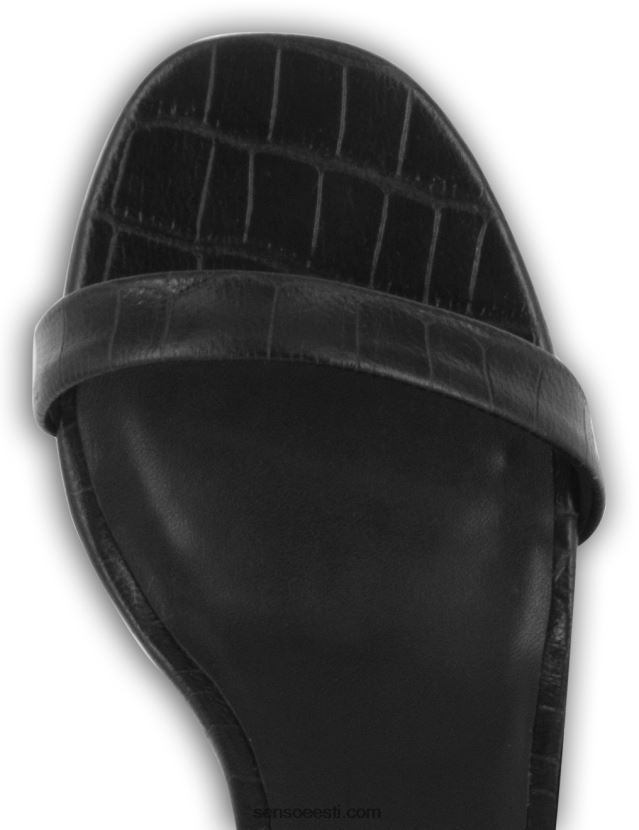 Senso FNPB8N312kontsad quelle iii eebenipuu