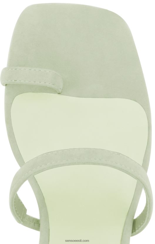 Senso FNPB8N313kontsad orelie leedriõis