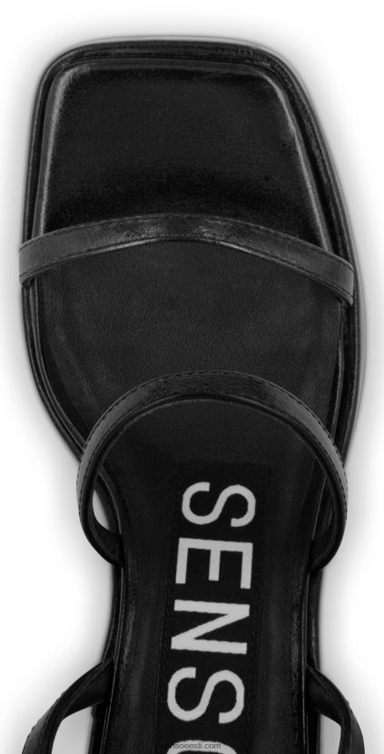 Senso FNPB8N330kontsad yasmin iii eebenipuu