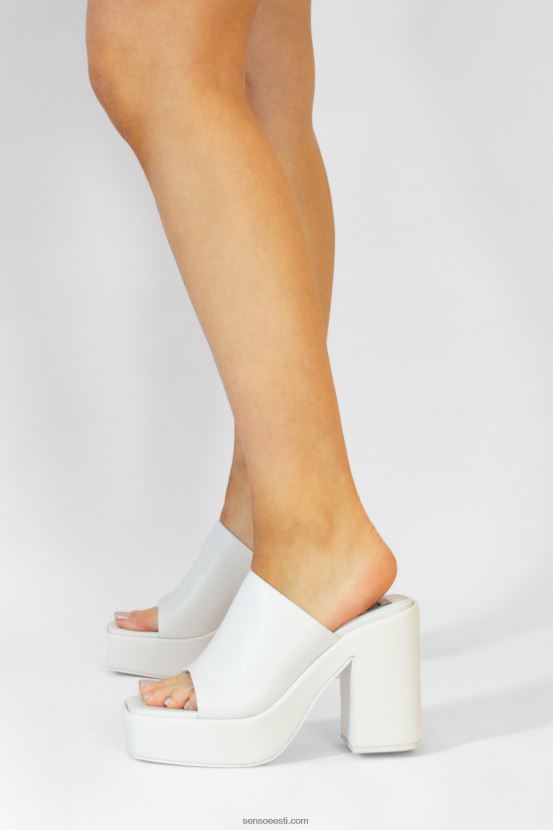 Senso FNPB8N332kontsad yael martsipan