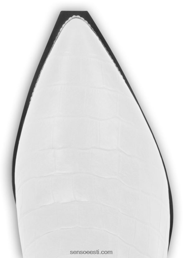 Senso FNPB8N378signatuurid linnea ice