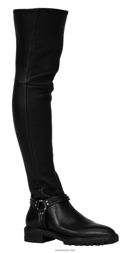 Senso FNPB8N19sügis/talv 21 muusa eebenipuu