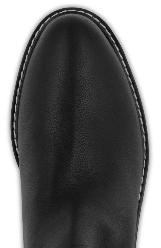 Senso FNPB8N38saapad lea eebenipuu