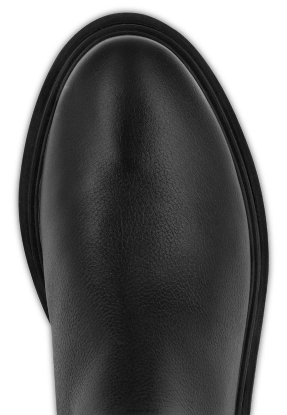 Senso FNPB8N42saapad pandora eebenipuu