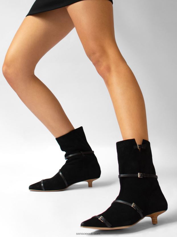 Senso FNPB8N6kevad/suvi 21 fai eebenipuu