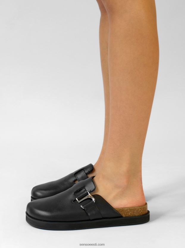 Senso FNPB8N364muulad zabel ii eebenipuu