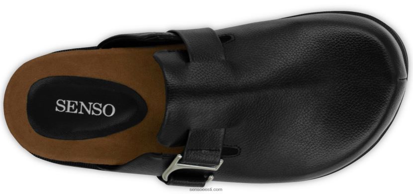 Senso FNPB8N364muulad zabel ii eebenipuu