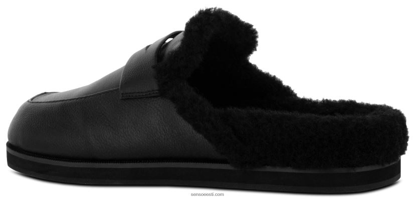 Senso FNPB8N366muulad ziggi eebenipuu