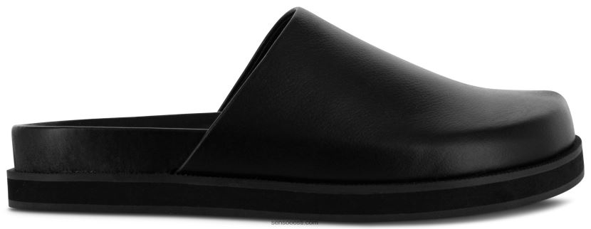 Senso FNPB8N370muulad zen eebenipuu