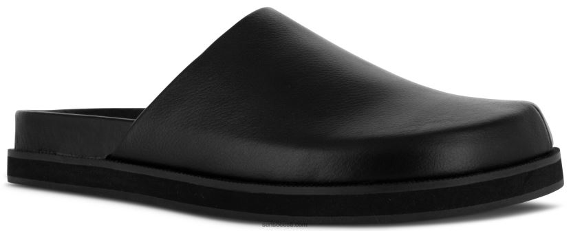 Senso FNPB8N370muulad zen eebenipuu