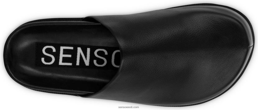 Senso FNPB8N370muulad zen eebenipuu