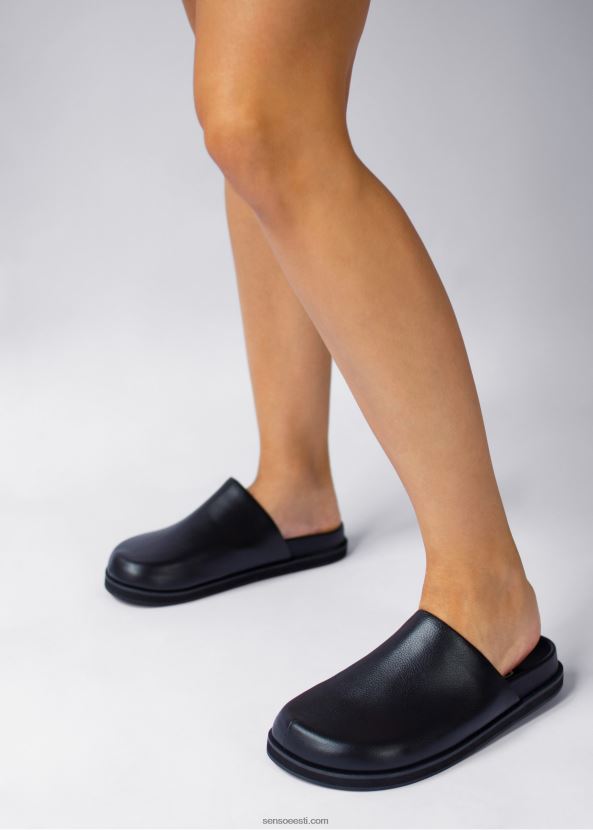 Senso FNPB8N370muulad zen eebenipuu