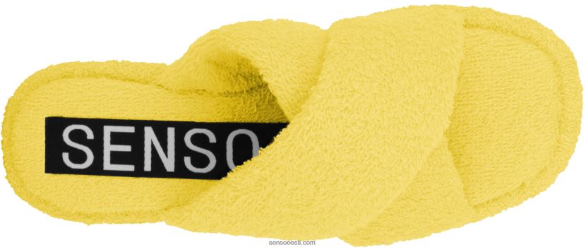 Senso FNPB8N384kevad/suvi 20 inka iv kanaarilind