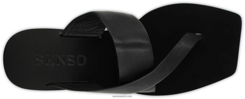 Senso FNPB8N419kevad/suvi 21 gretel i eebenipuu