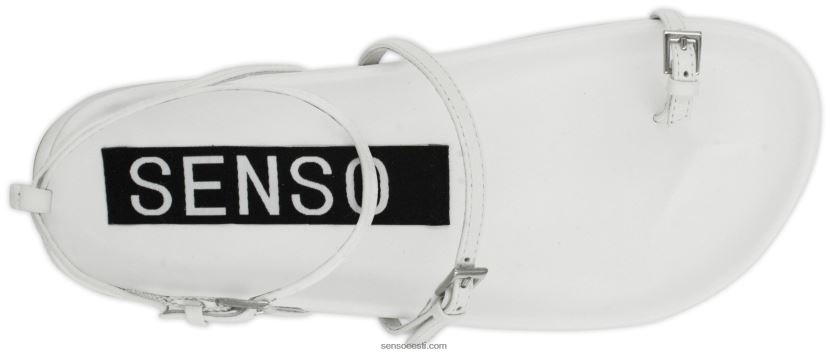 Senso FNPB8N467kevad/suvi 21 doominojää