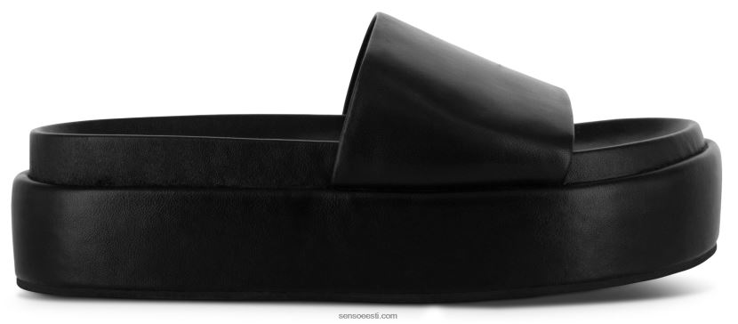 Senso FNPB8N509kontsad wylde eebenipuu