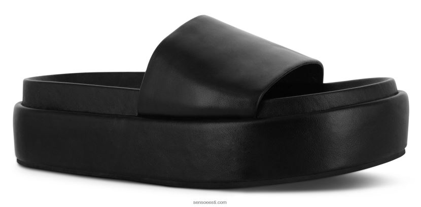 Senso FNPB8N509kontsad wylde eebenipuu