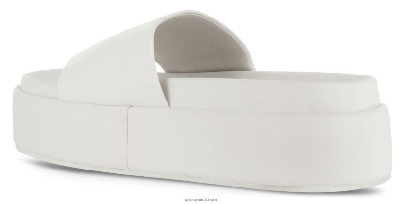 Senso FNPB8N510kontsad wylde jää